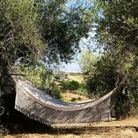 Dependance Immersa Tra Gli Ulivi 別荘 *