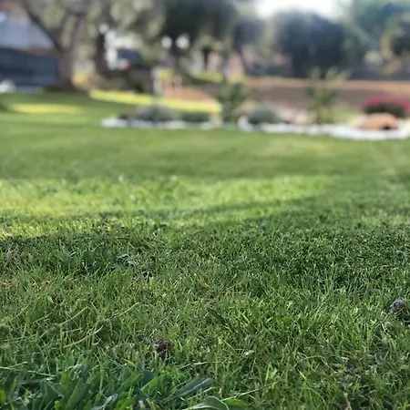 Dependance Immersa Tra Gli Ulivi Cologna