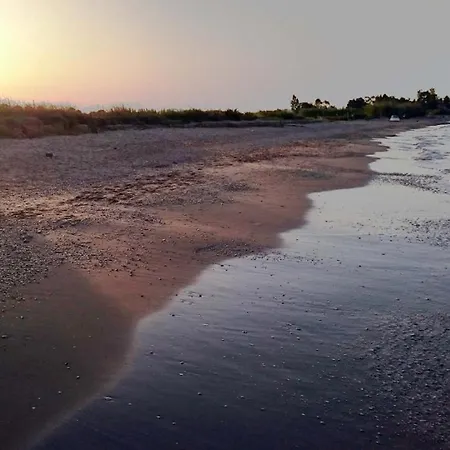 Dependance Immersa Tra Gli Ulivi