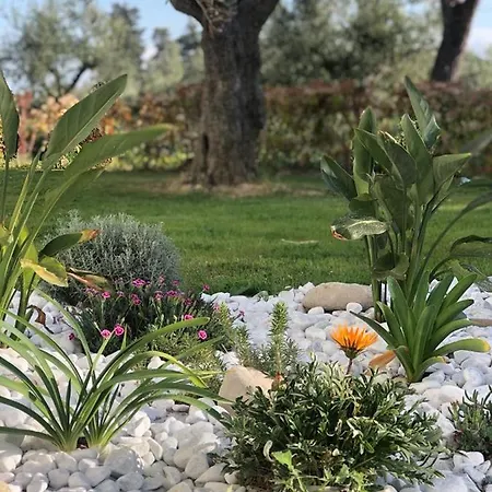 Dependance Immersa Tra Gli Ulivi Cologna