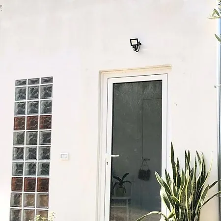 別荘 Dependance Immersa Tra Gli Ulivi Cologna